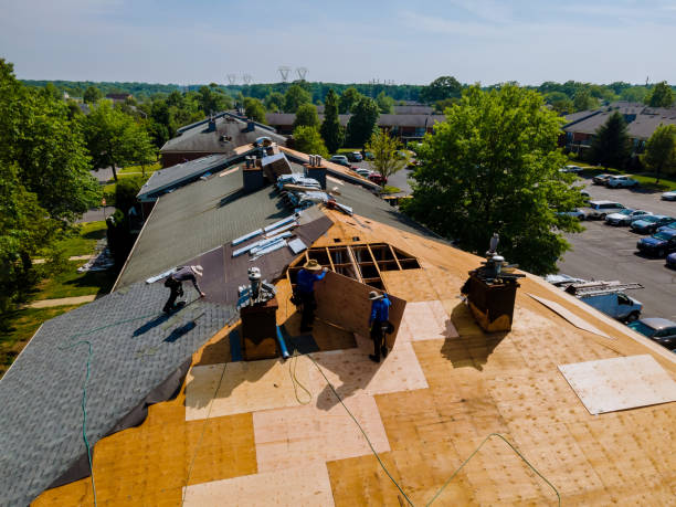 Best Storm Damage Roof Repair  in St John, MO