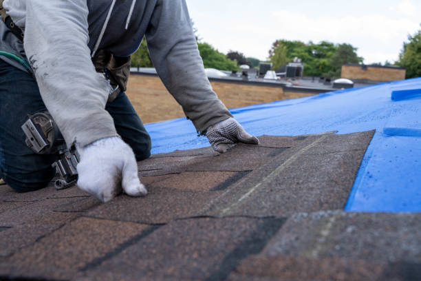 Trusted St John, MO Roofing Contractor Experts
