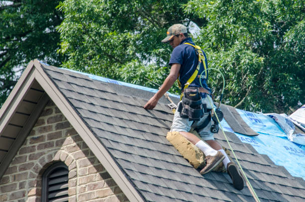 Best Roof Leak Repair  in St John, MO